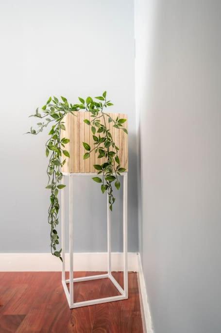 The Green House Of Stavanger Bnb 14 -Central, Sauna And Airport Shuttle Exterior foto